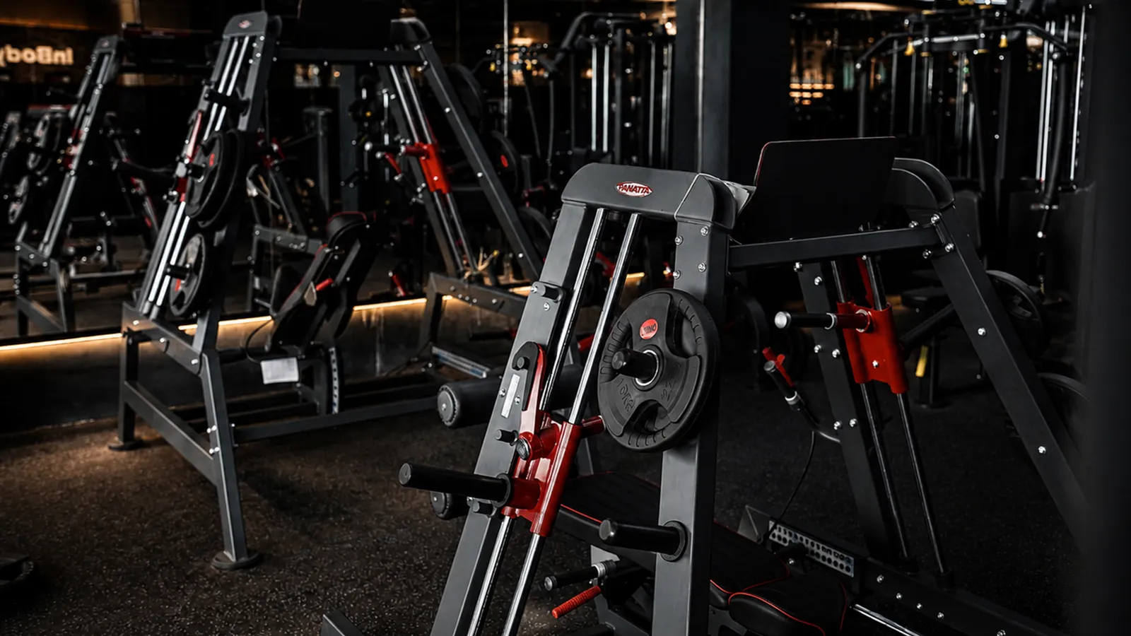 Panatta equipment 3